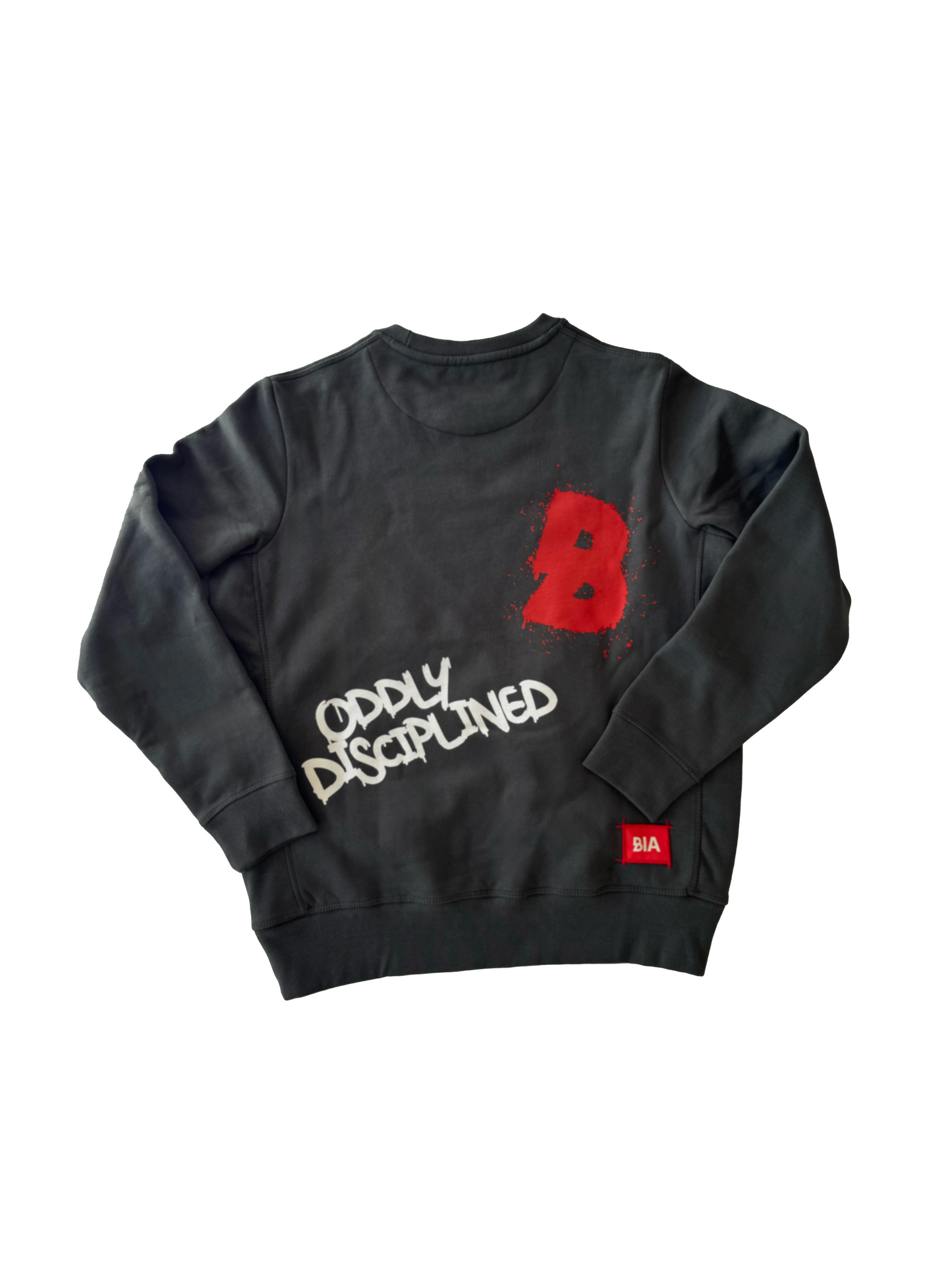 BIA Grey Graphic Crewneck