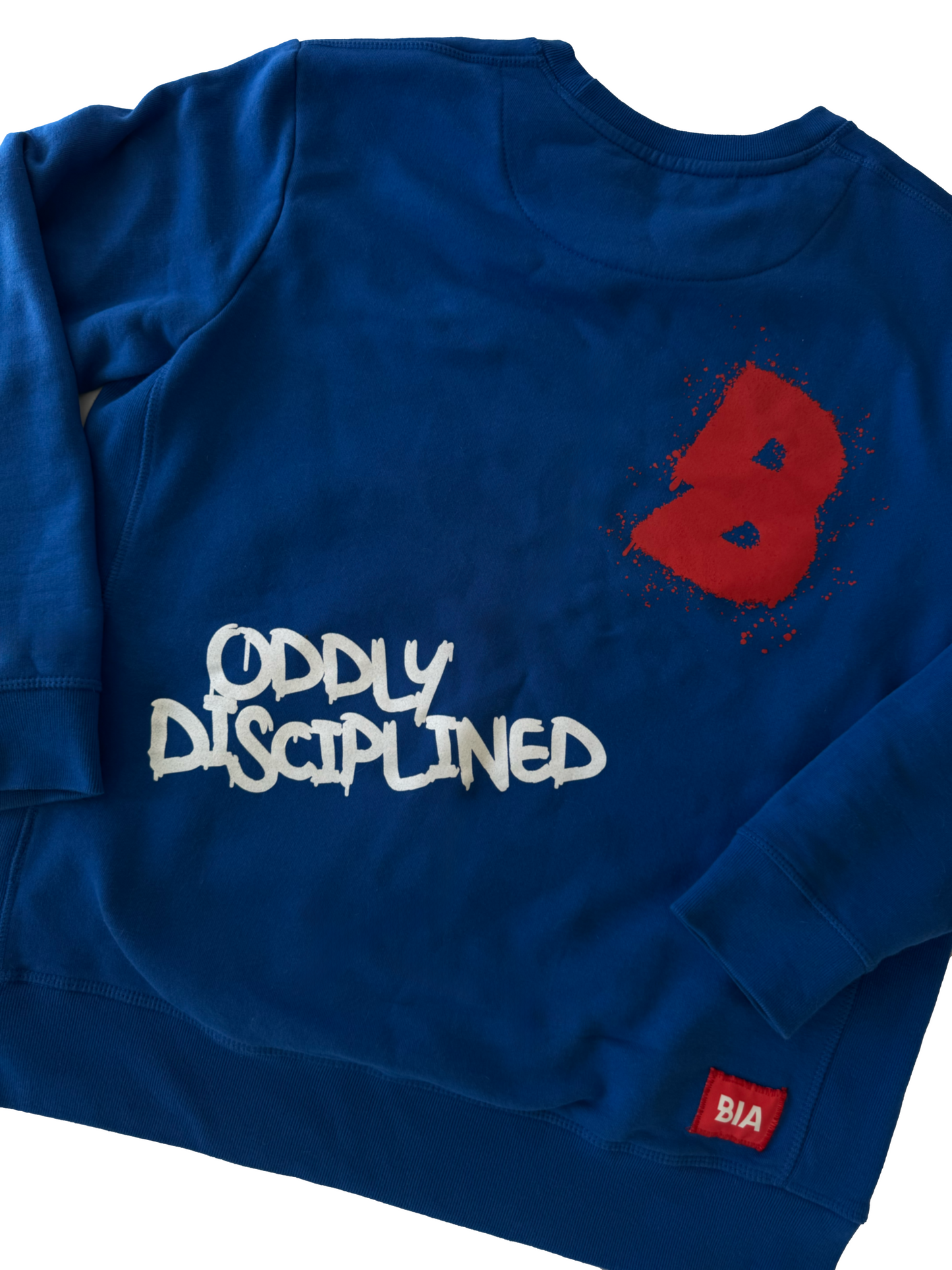 BIA Blue Graphic Crewneck